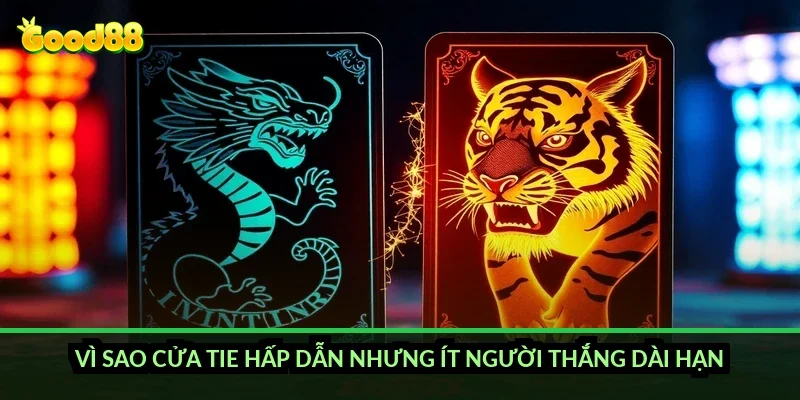 Vì sao cửa Tie hấp dẫn nhưng ít người thắng dài hạn?